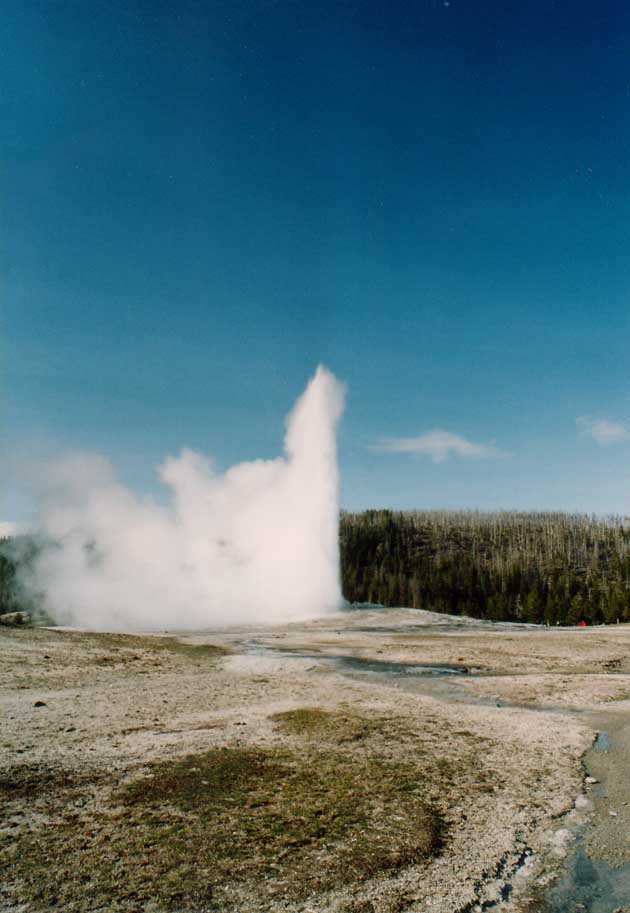 Old Faithful