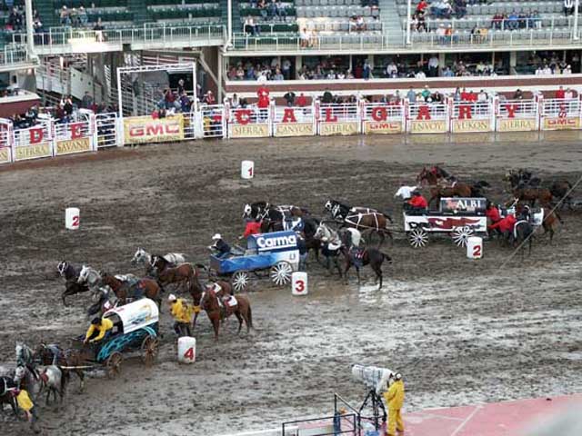 Chuckwagon races