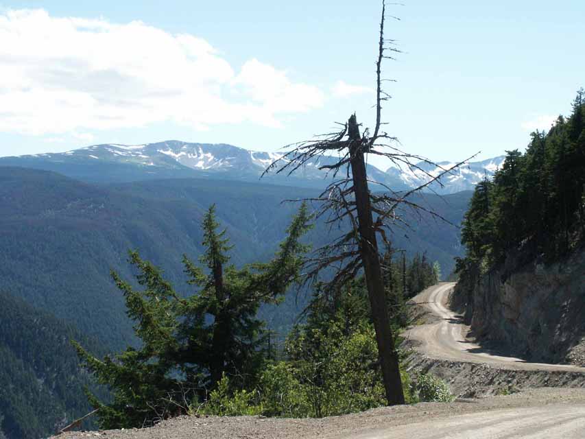 Road to Bella Coola