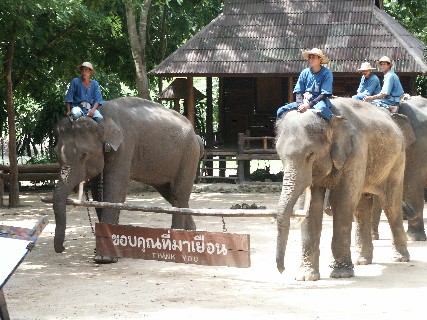 Elephant Conservation Centre